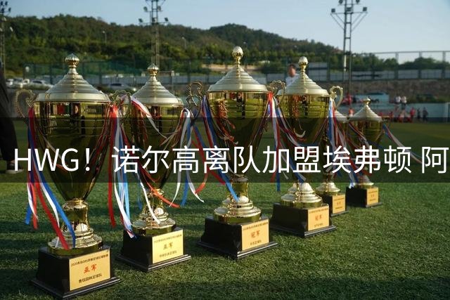 HWG！诺尔高离队加盟埃弗顿 阿森纳吉马良斯好事将近